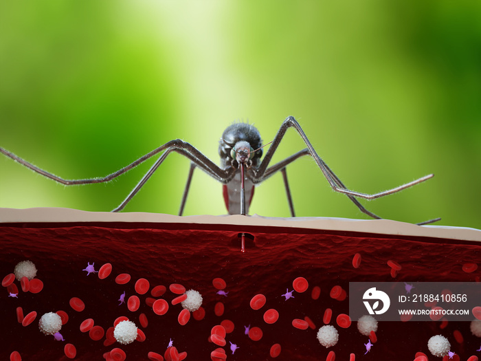 3d rendered medically accurate illustration of a mosquito bite