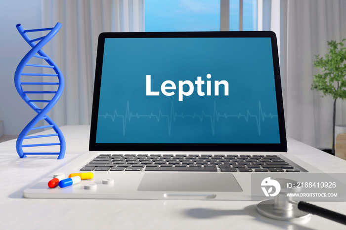 Leptin – Medicine/health. Computer in the office with term on the screen. Science/healthcare