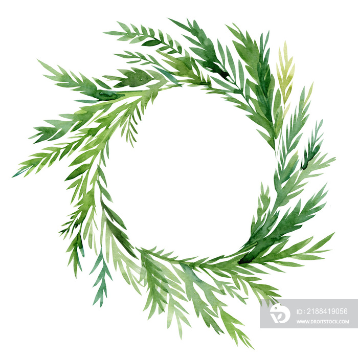 Wreath, green leaves on an isolated white background, watercolor drawing