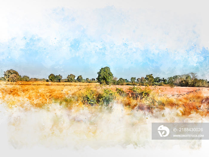 水彩画背景上抽象的彩色树木和田野景观。