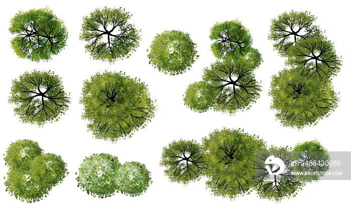 Set of watercolor tree top view for landscape plan and architecture layout