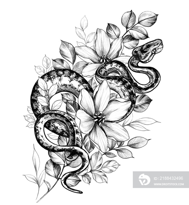 Hand Drawn Monochrome Creeping Python and Flowers