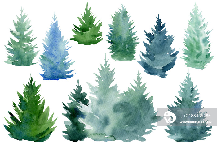 Set of spruce trees on an isolated white background. Watercolor illustrations