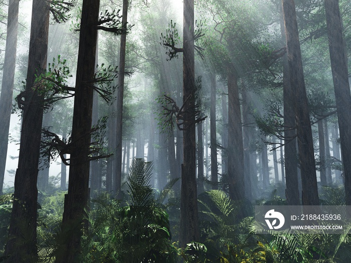 Trees in the fog. The smoke in the forest in the morning. A misty morning among the trees. 3D render