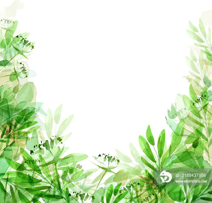 绿色，自然背景，抽象的绿叶和树枝。水彩手绘插图，是