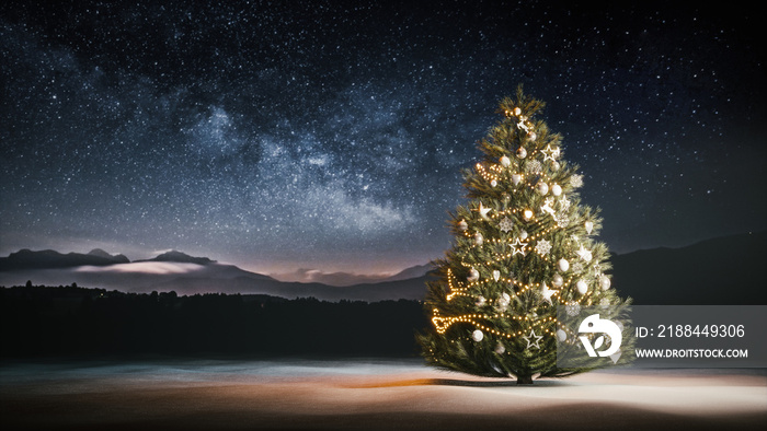夜空中的圣诞树。夜晚的圣诞树，3d插图