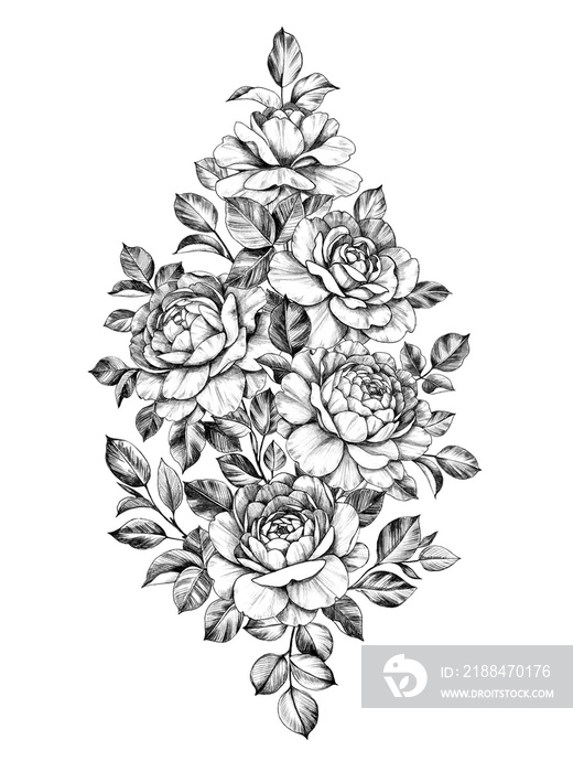 Hand drawn Bouquet Rose Flowers