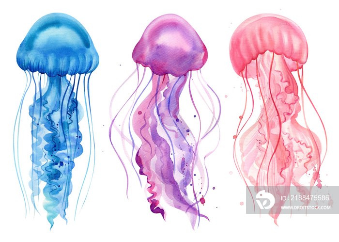 Blue, purple, pink jellyfish. Watercolor drawings on a white background. Ocean animals