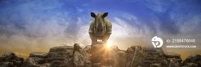 日落时的犀牛。三维渲染