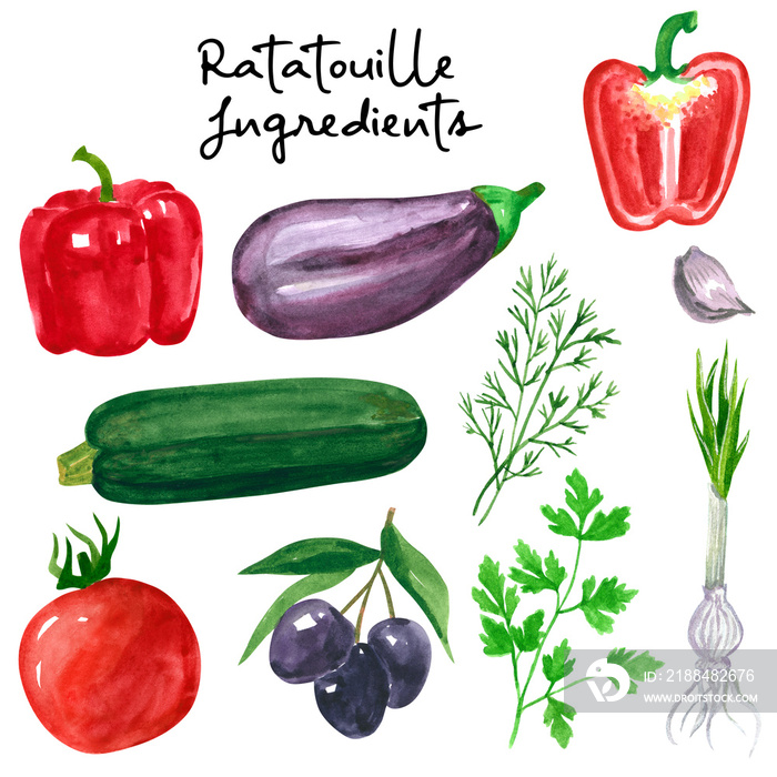 Set of different vegetables, hand drawn watercolor illustration. Eggplant, aubergine, parsley, peppe