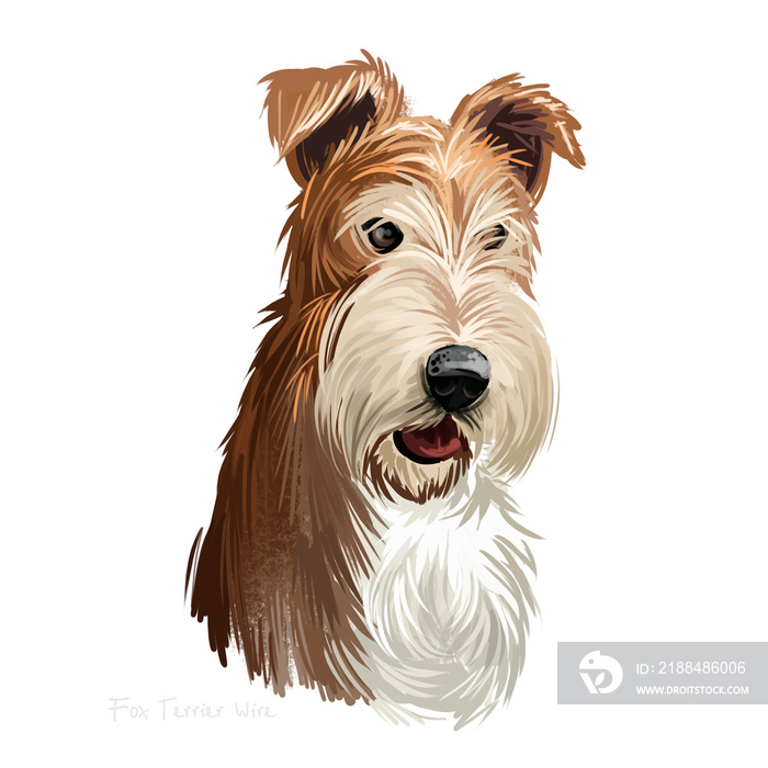 Wire Fox Terrier dog, Wirehaired terrier, Fox terrier digital art illustration isolated on white bac