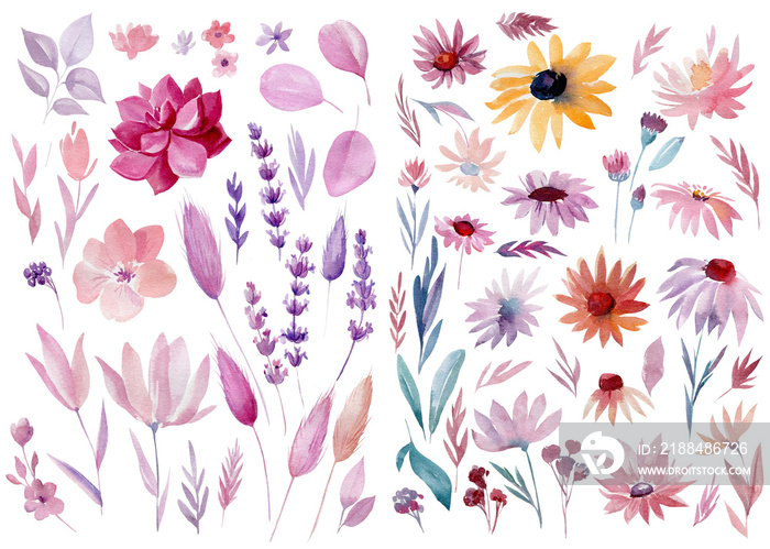 Set of watercolor floral elements, hand drawn isolated on white background.