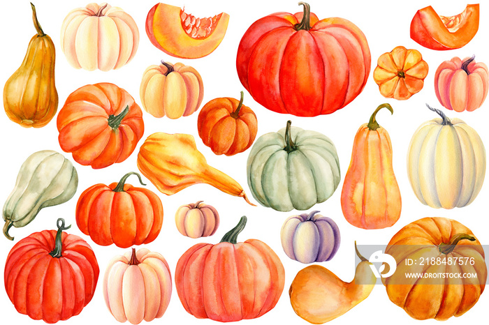 autumn illustration, puautumn set of pumpkins on an isolated white background, watercolor painting, 