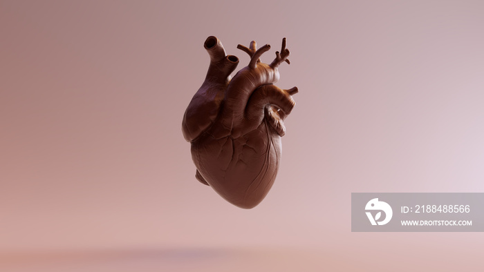 巧克力色解剖心脏三维插图三维渲染图