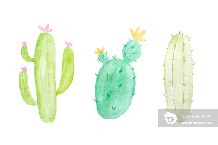 Watercolor painting, set of cactus in watercolor style on white background, art and design