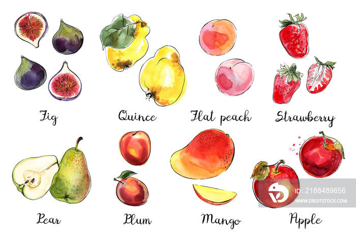水彩食品素描图标。异国水果。梨、香蕉、芒果、山竹、葡萄