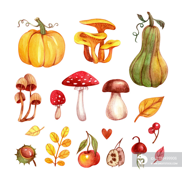 Autumn set with pumpkins, mushrooms and leaves. Drawn by hand with watercolors and colored pencils.