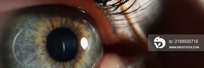 Female eye with black painted eyelashes closeup