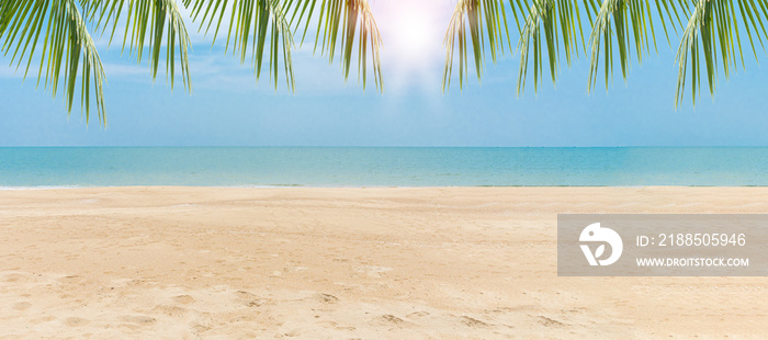 Summer beach, sand, palm concept. Green leaves of Palm coconut trees against blue sky and beautiful beach on day. View with of nice tropical beach. Vacation holidays background. Summer Wallpaper.