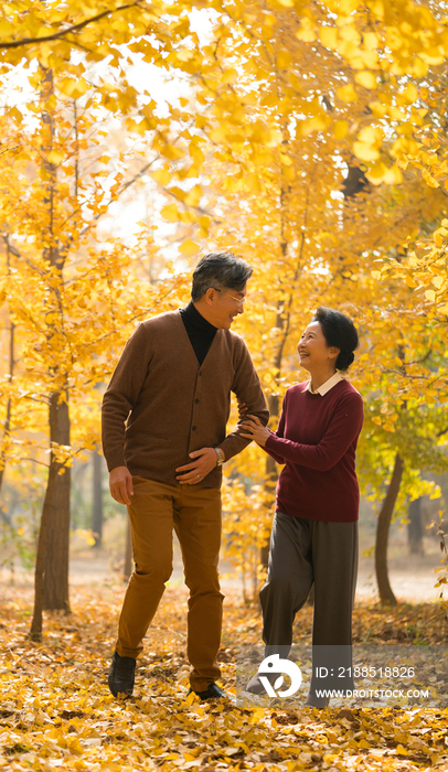 在银杏林散步的老年夫妻