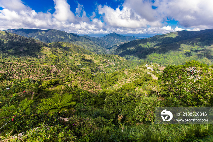 Blue mountains of Jamaica coffee growth place