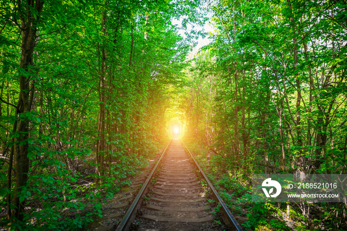 a railway in the spring forest tunnel of love