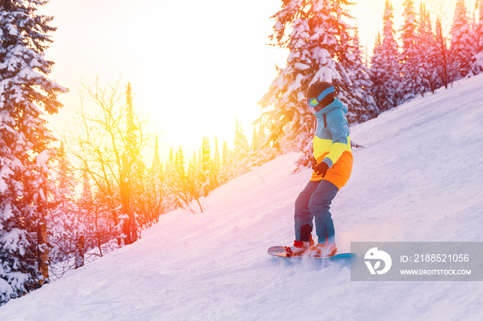 Snowboarder riding on slope with snowy forest, sheregesh ski resort sunset. Concept freeride extreme sport