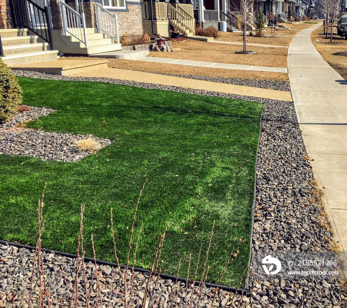 A beautiful artificial lawn in the front yard shining a healthy green in winter while other lawns are yellow and brown