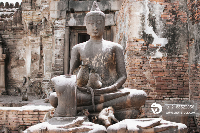 Vertical image of cute monkeys sitting avoid the sun under the ancient Buddha statue.