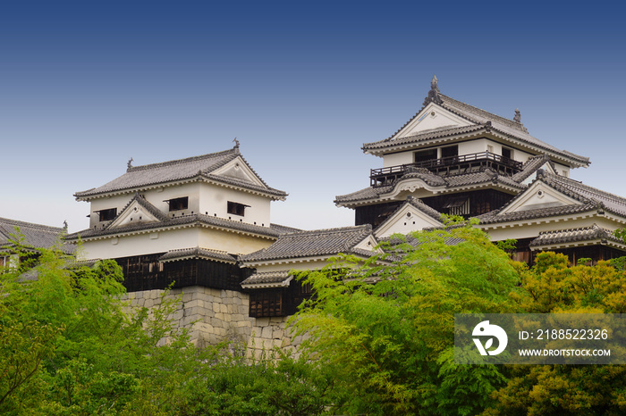 Matsuyama castle in Japan