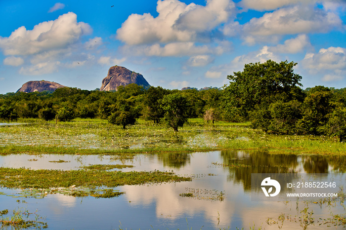 Yala National Park landscape Sri Lanka Ceylon