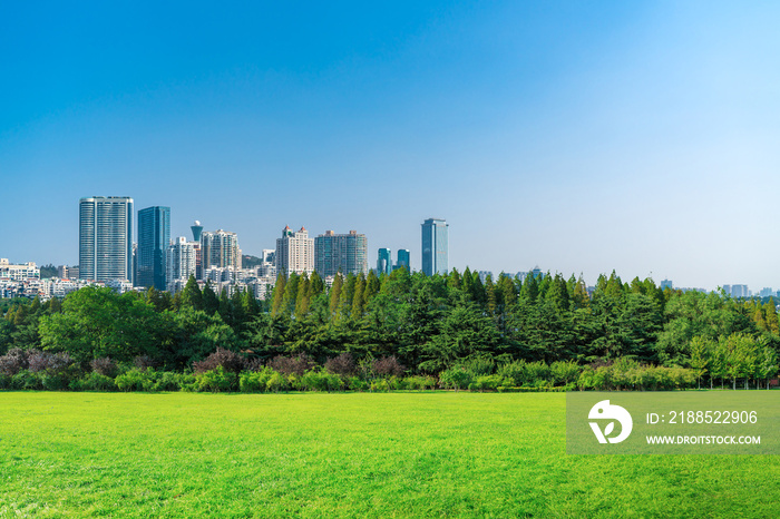 Park grass and city skyline background