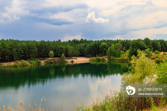 View of a beautiful lake in a pine forest at summer