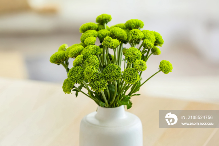 Vase with beautiful green chrysanthemum flowers, closeup