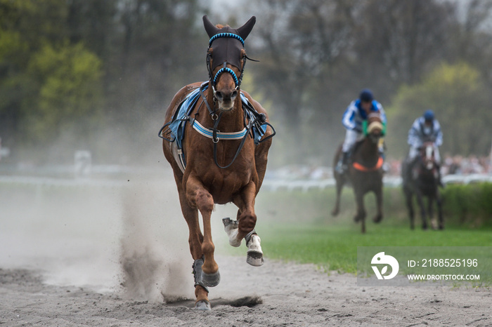 Frightened horse without jockey during horseracing.