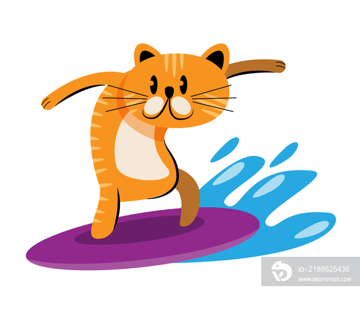 cat playing surf