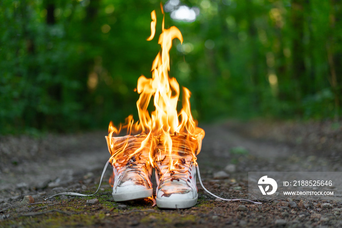 Used white high sneakers burning on a rural road that runs in the forest.