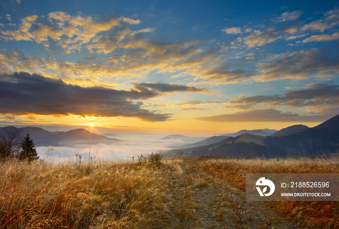 grass and sunrise in Carpathians