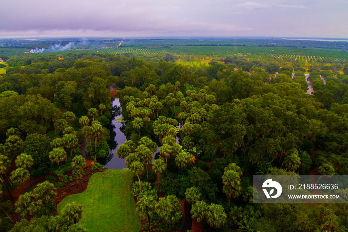 Landscape of Polk county florida