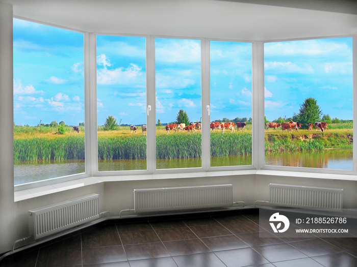 Window with view to summer lake with grazing cows. Rural view