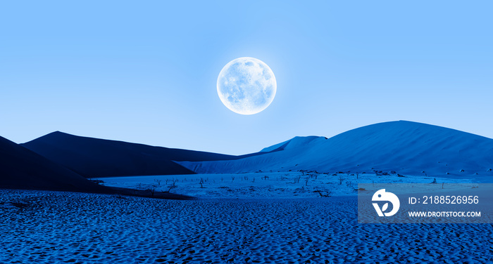 Dead trees in Dead Vlei at night Full moon in the background - Sossusvlei, Namib desert, Namibia  Elements of this image furnished by NASA