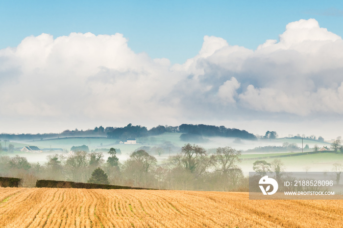 Rows of a recently harvested golden-brown field of oats in the foreground of a rural landscape of farms and misty fields in Northern Ireland under a blue sky with dramatic puffy white clouds