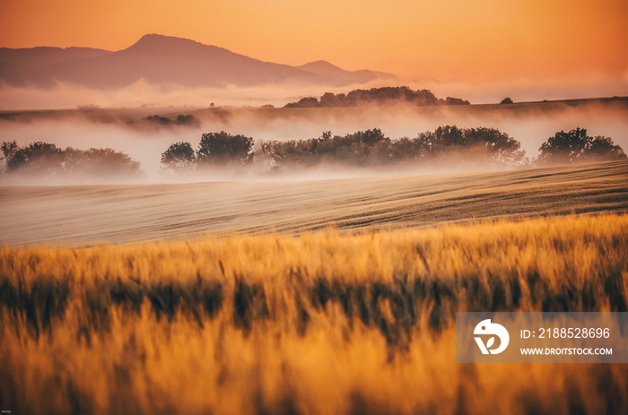 Morning landscape over village with meadows and trees covered by morning mist and beautiful sunrise light