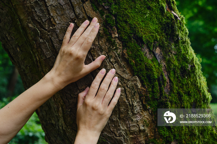 Girl hand touches a tree with moss in the wild forest. Forest ecology. Wild nature, wild life. Earth Day. Traveler girl in a beautiful green forest. Conservation, ecology, environment concept