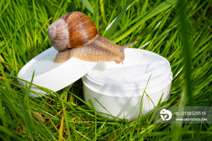 white cream with snail mucin on the green grass in the garden, beautiful skin care.