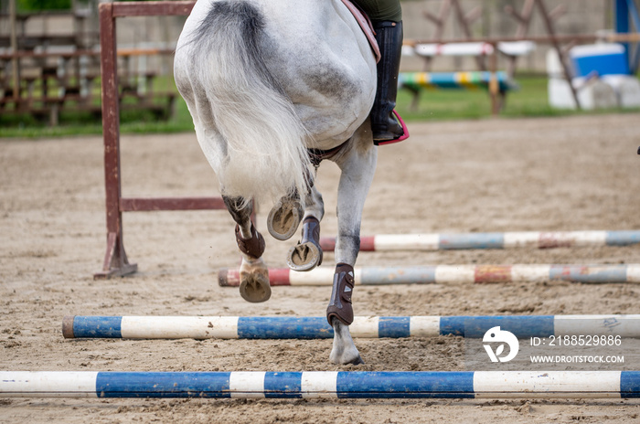 Horse rider crosses cavaletti with horse