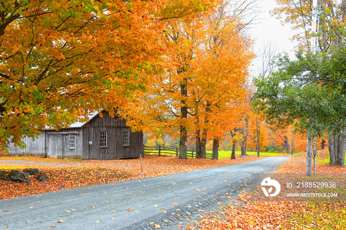 Scenic rural Vermont landscape in autumn time