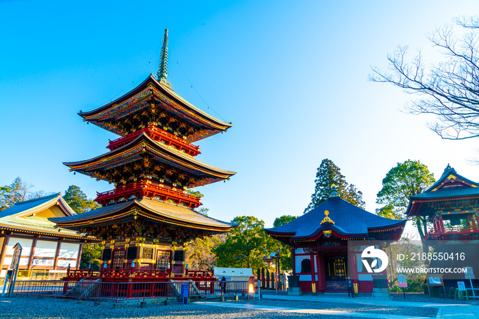 Pagoda at Narita-san Shinsho-ji temple, near Tokyo, Japan