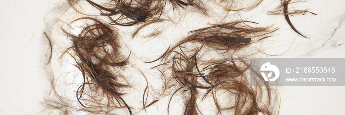 Cut off split ends of hair lie on floor