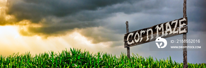 Old corn maze sign painted on rustic barn board. Standing over the corn field.